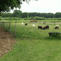 Vakantie Meerlo Stoere Hutten uitzicht over het Groote Molenbeekdal