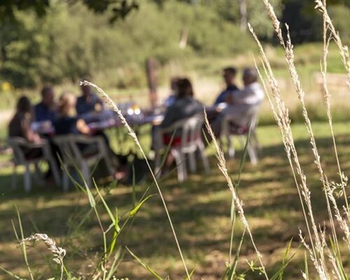 Vakantie Meerlo vergaderen in de natuur