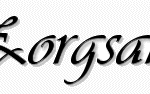 logo zorgsam